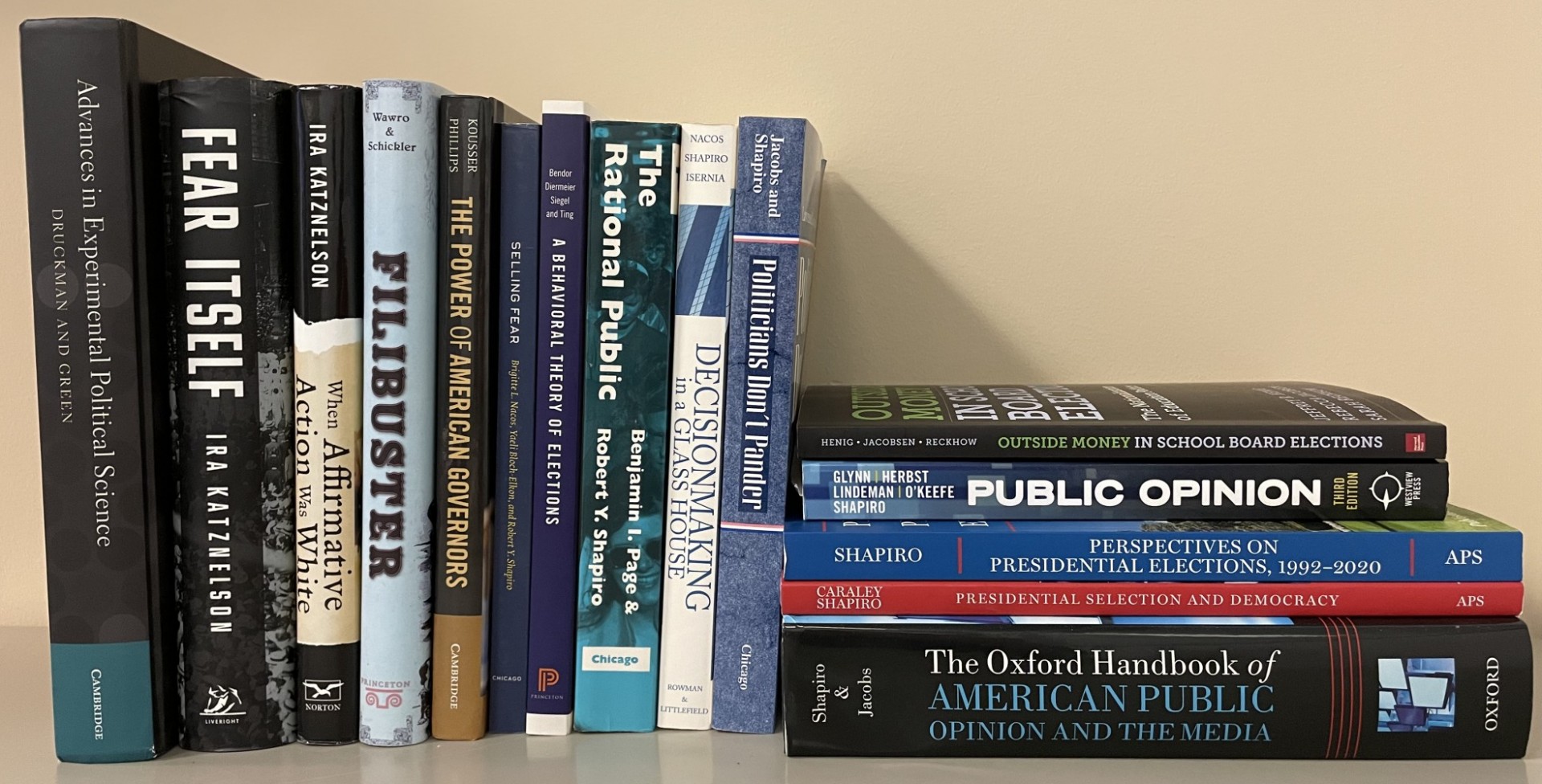 Selected books authored by American politics faculty