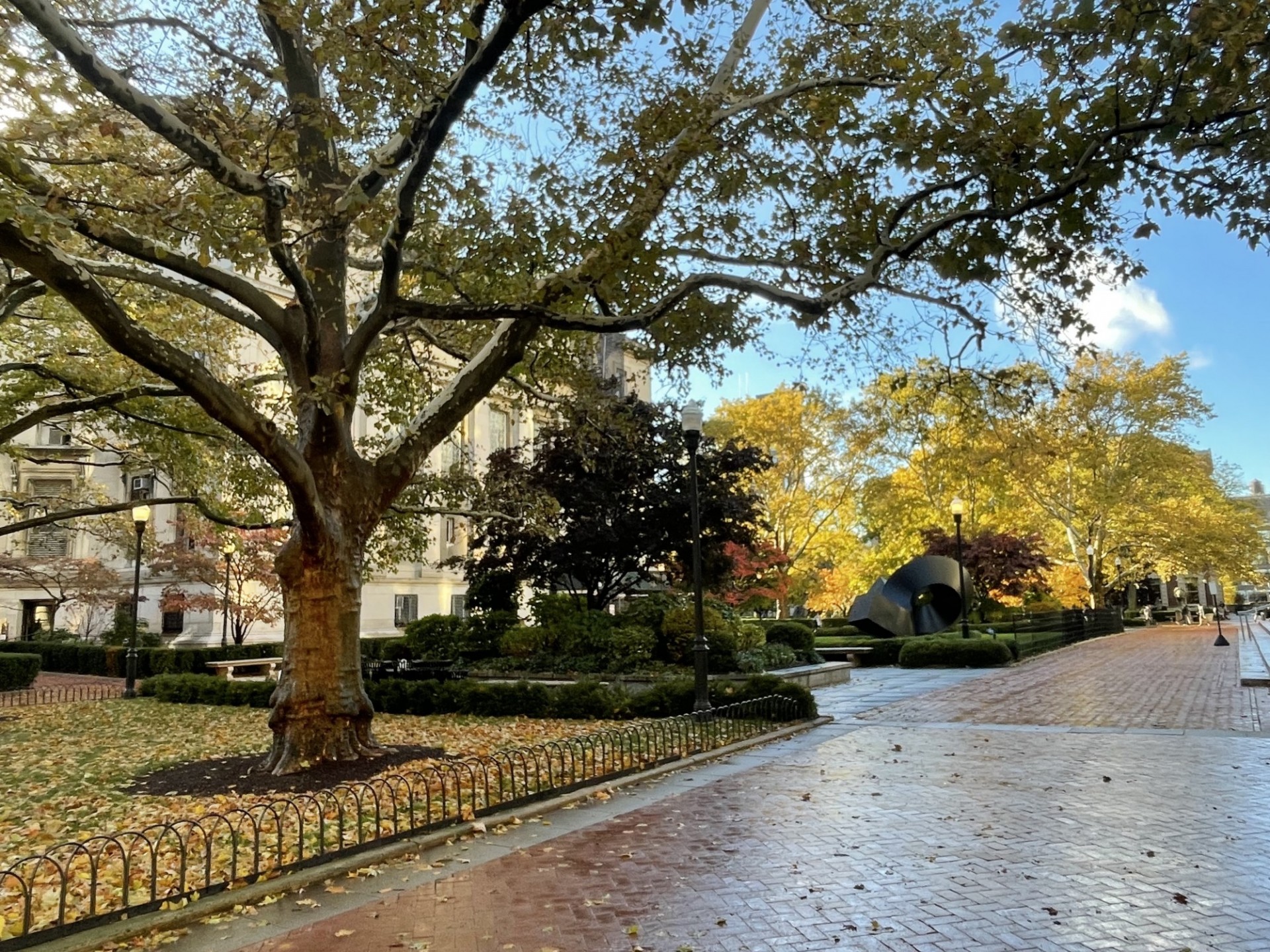 Campus scene in fall