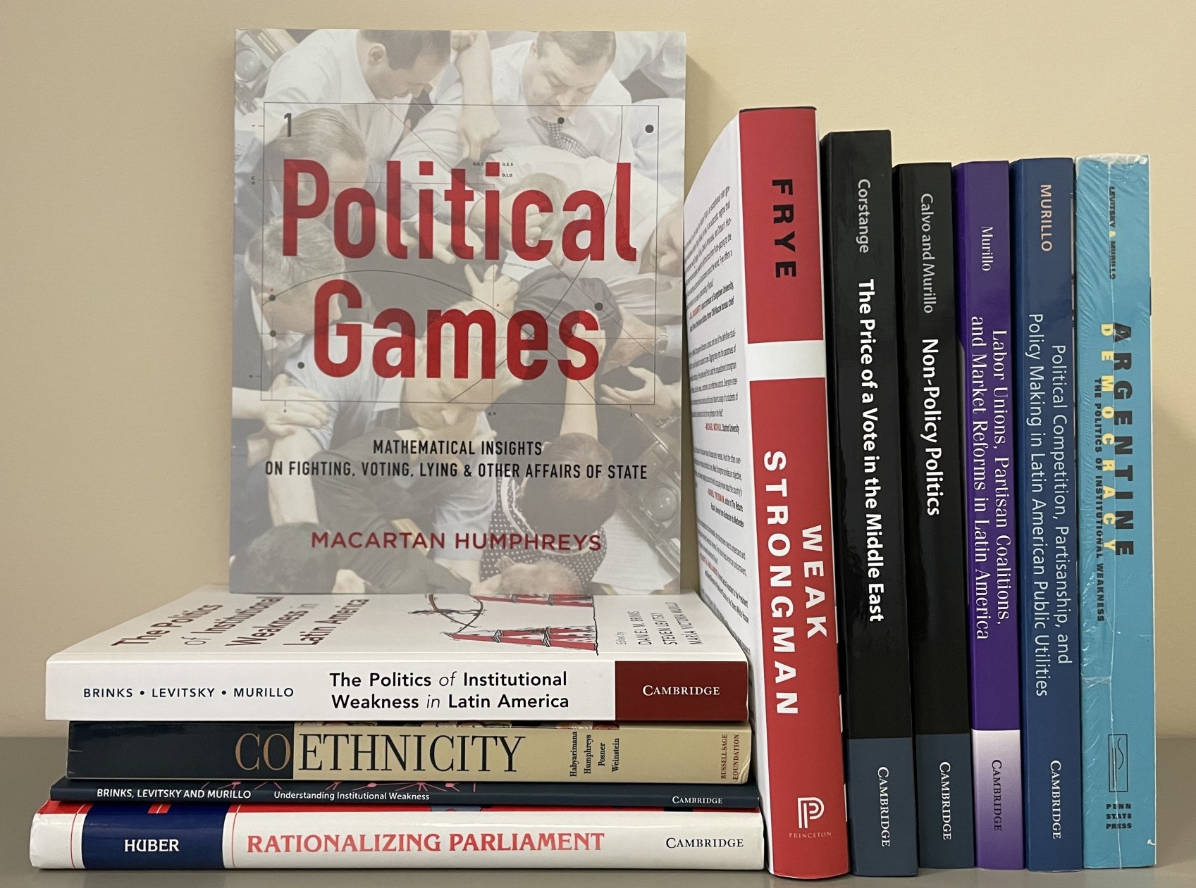 Selected books authored by comparative politics faculty