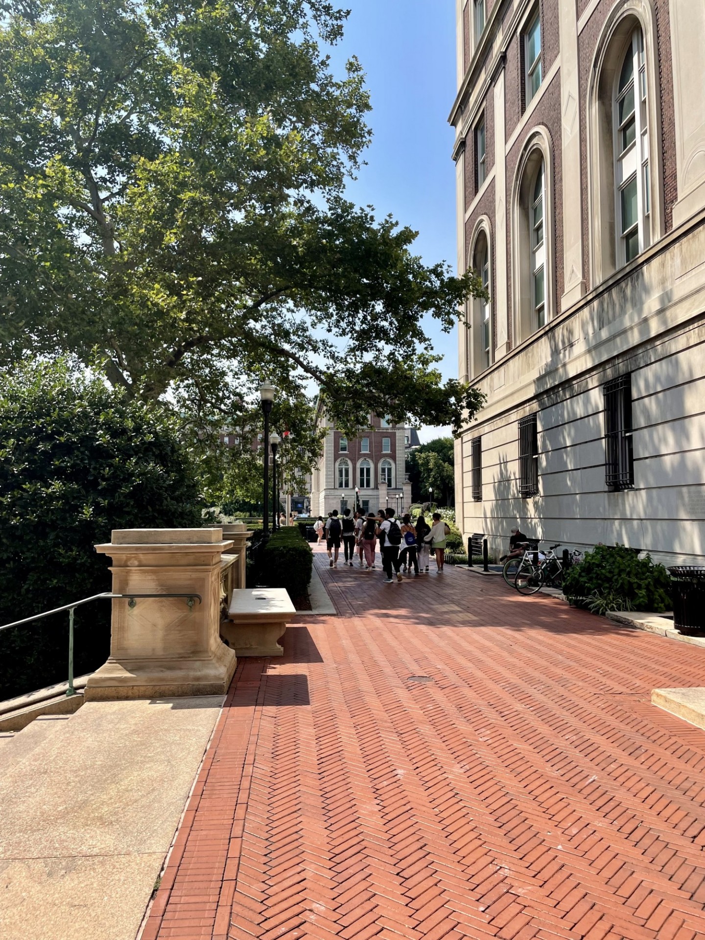 Students walking near Hamilton Hall