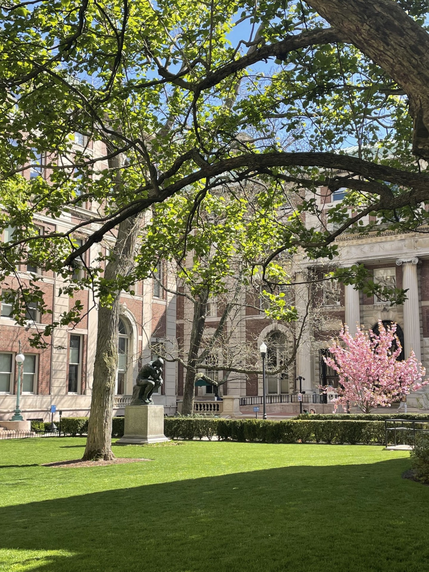 Campus view with spring blossoms--Philosophy Hall, Kent Hall, The Thinker (Rodiin)